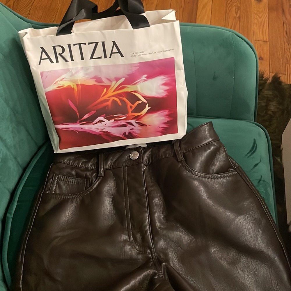 Selling size small Leather Aritiza shorts with bag for $30!